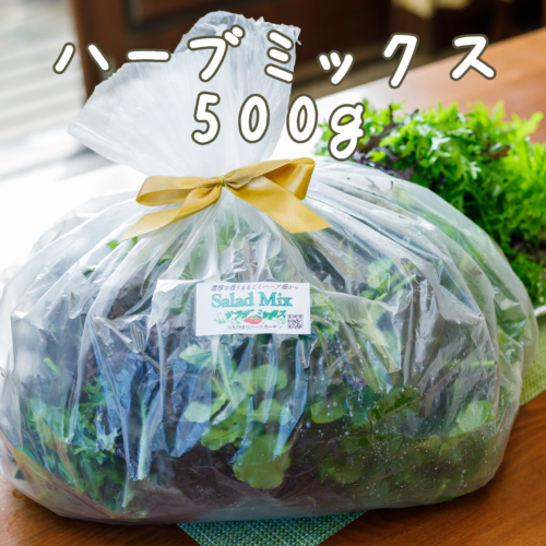 herb500