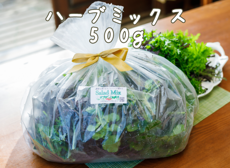 herb500