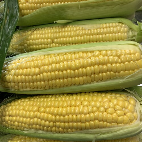 sweetkorn