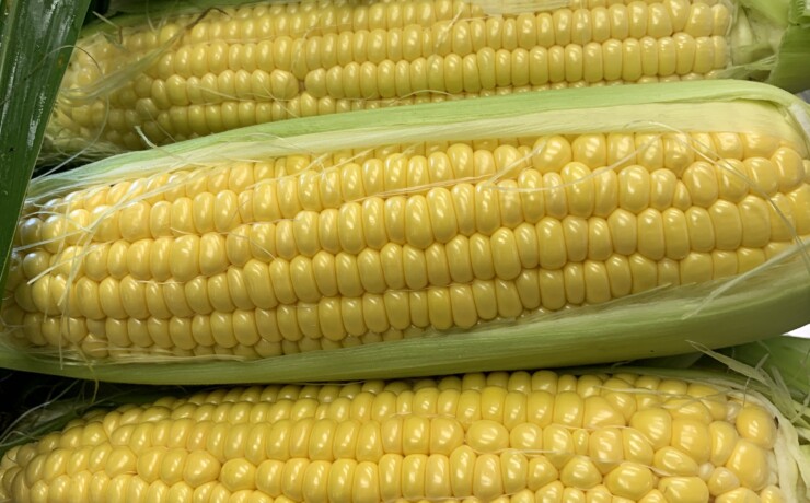 sweetkorn
